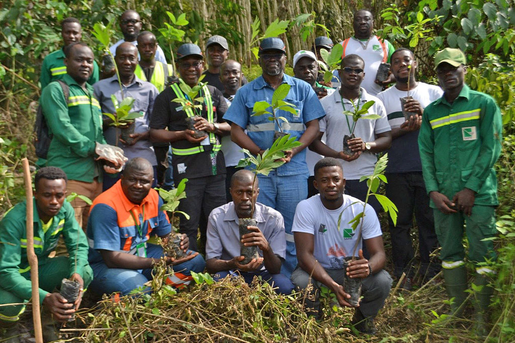 SAPH Planting bettie 2025 actu