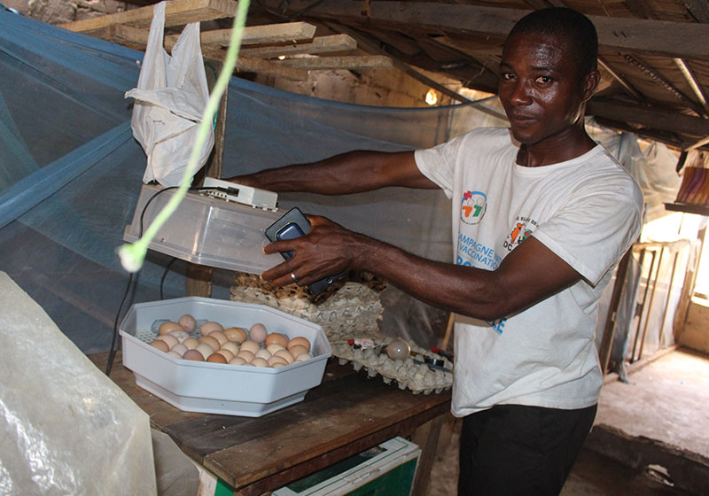 Eleveur de poulet à SAPH Toupah